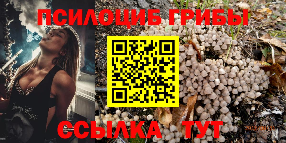 Галлюциногенные грибы Cubensis Кушва